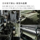 夏ラグ 夏用カーペット 洗える い草風 カーペット 涼風 りょうふう 江戸間 8帖 8畳 PP ラグ ござ ビニール風 上敷き 畳の保護 畳替え 国産
