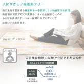 ラグ カーペット マイクロファイバー・デザイン マットLサイズ（200×250cm）洗える マット 【WASHFA2】 新生活