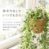 CT触媒 フェイクグリーン ハンギング 通販 キシマ アーティフィシャルグリーン 観葉植物 フェイク グリーン 吊り下げ バスケット 壁掛け 人工観葉植物 消臭 ハンギングバスケット 小さめ 小型 おしゃれ リビング リアル kishima 造花 インテリア