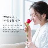 <季節のお花おまかせ>フラワーギフトボックスアレンジメント　リボン付き　 そのまま飾れる 生花 花市場から直送  父の日 お祝い お誕生日 結婚祝い フラワーボックス バラ カーネーション かわいい おしゃれ 女性 ギフト プレゼント 即日発送 手提げ付き  メッセージカード無料