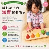 [日本製安心おもちゃ]　ピックアップコーン・送料無料] 日本グッドトイ受賞 [木のおもちゃ パズル 知育玩具 型はめ 日本製 1歳～100歳 高齢者 リハビリ バリアフリー 2歳 3歳 4歳 5歳 6歳 7歳 8歳 誕生日ギフト～出産祝い 男の子 女の子 赤ちゃん おもちゃ 親子 木育 家族 ]