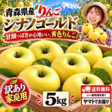 青森県産　りんご　シナノゴールド　訳あり　5kg　送料無料！