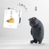 【5種類セット】 ガチャ ガチャガチャ コンプリート 中身 フィギュア おもちゃ かわいい [ 虚無。猫 参 ] ねこ ネコ動物