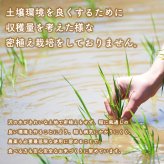 新米！【無洗米30ｋｇ】令和8年産秋田県産 あきたこまち30kg(精米後27kg)☆【米びつ当番"天鷹唐辛子"プレゼント付き】  厳選されたおいしいお米  