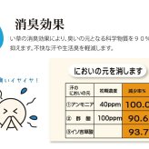 固わた40mm入り い草ごろ寝フリーマット（おやじの場所) 『大和』 約70×150cm