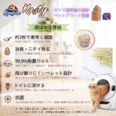 Kaniva カニワ Kasty キャスティー 豆腐猫砂 抹茶（マッチャ） 10L（4.54kg）