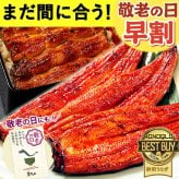 ＼早割！9/8の16時まで／ 敬老の日 早割 お中元 うなぎ 国産 【浜松 浜名湖 うなぎのたなか】 誕生日 プレゼント ギフト 鰻 うなぎのたなか 蒲焼き 誕生日プレゼント グルメギフト 送料無料  お祝い グルメ 人気 内祝い ご褒美 即日配送 90～110g 2本～6本 土用の丑 海鮮 食べ物 おつまみ 高級 簡易箱 化粧箱 風呂敷 1～6人前 40代 50代 60代 70代 80代