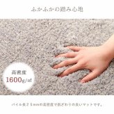 ラグ カーペット 玄関マット ふんわり ふかふか 肌ざわり 滑りにくい スタンドミラー前 シャギー シンプル ナチュラルカラー 45×75cm