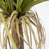 観葉植物 造花 ユッカ BROWN 全高約85cm 中型 フェイクグリーン 本物そっくり おしゃれ インテリア 人工観葉植物 アーティフィシャルグリーン オフィス 店舗 ホテル 開店祝い 室内 青年の木 エレファンティペス フェイク
