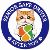 カーサイン 高齢者マーク SENIOR SAFE DRIVER エキゾチックショートヘア マグネット 強力 直径13cm 肉球 日本製 車 ステッカー