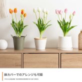 【高さ40cm】光触媒人工観葉植物 チューリップ 幅18cm×奥行18cm×高さ40cm お部屋に気軽に飾れて空間を美しく彩るフェイクグリーン 本物の生花のようなリアルな質感とインテリアに馴染む風合いが魅力です ホワイト ピンク オレンジ