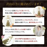 しめ縄 国産 日本製 おしゃれ 注連縄 しめ飾り 正月飾り 玄関 モダン 水引 リース 祝麻 迎春 お正月飾り 干支 十二支 門松 .しめ縄.