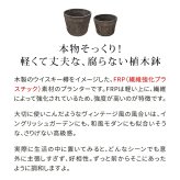 バレル型プランター frp製 大小2個セット EBP-2430DBR 直径30/24 高さ22/17 10号/8号 軽量 アンティーク 円形 樽型 深型 植木鉢 鉢 グラスファイバー プランターカバー ガーデン おしゃれ 庭 ベランダ 屋外 家庭菜園 新生活