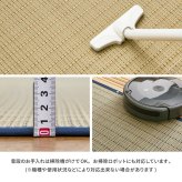 夏ラグ 夏用カーペット 国産 い草カーペット 清涼 約174×261cm 江戸間 3帖 3畳 柄上敷き 花ござ い草ラグ
