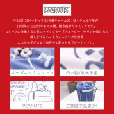 綿毛布 シングル ハーフ 日本製 西川 泉大津 毛布 ブランケット オーガニックコットン コットンケット 風で紡ぐ糸 サステナブル ピーナッツ PEANUTS スヌーピー SNOOPY 大人かわいい マイヤー キャラクター FQ05101602