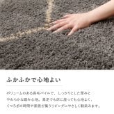 ラグ カーペット ウィルトン エジプト製 ホット 対応 床暖房対応 長方形 ペルシャ調 花柄モチーフ パイル リビング ダイニング 玄関マット キッチンマット マット 絨毯 上品 高級感 オールシーズン おしゃれ かわいい 北欧 約100×140cm