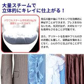 T-fal ( ティファール )  衣類スチーマー   アクセススチームファスト　DT6100J0　高速15秒立ち上がり　軽量725g　衣類ケア 花粉・アレルギー対策　シワ伸ばし　ハンディスチーマー　#58406