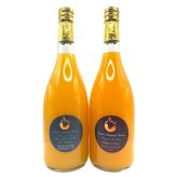 愛媛 エヒメエンゲージファーム 柑橘ジュース 飲み比べセット 2種 計4本入 フルーツジュース 果汁飲料 ストレート ジュース 国産