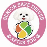 カーサイン 高齢者マーク SENIOR SAFE DRIVER ビションフリーゼ ステッカー シール 直径13cm 肉球 日本製 車