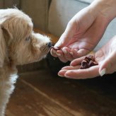 ロクバ ROKUBA スモーク薫るソフトジャーキー 鹿 国産 犬用おやつ 20g