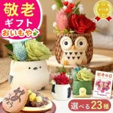 【まだ間に合う】 敬老の日 すぐ贈れるギフト 即日発送 誕生日 プレゼント ギフト 花 フラワーギフト プリザーブドフラワー ミニ 動物 アニマル フラワーアレンジメント バラ 薔薇 一輪 ふくろう 犬 猫 かわいい おしゃれ どら焼き 送料無料 スイーツ お菓子 和菓子 母 実母 自分の母 義母 妻 40代 50代 60代 70代 花セット 花とお菓子 2000円 3000円