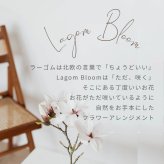 【Lagom Bloom 03】生花のアレンジメント インテリアのようなお花 新築のお祝いや開店のお祝いなど空間のインテリアのように飾ることができるお祝い花です 送料無料 生花 アレンジメント 誕生日 花 ギフト 送料無料 お礼 白 生花 お祝いアレンジメント 日頃の感謝 御祝 記念日 開店御祝い 自宅用 お供え フラワーギフト 展示会 楽屋花 受付 おしゃれ 母の日 敬老の日 お中元 お歳暮