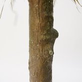 観葉植物 造花 ユッカ ロストラータ BROWN 全高約94cm 中型 フェイクグリーン 本物そっくり おしゃれ インテリア 人工観葉植物 アーティフィシャルグリーン オフィス 店舗 ホテル 開店祝い 室内 ブルー フェイク