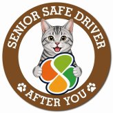 カーサイン 高齢者マーク SENIOR SAFE DRIVER サバトラ マグネット 強力 直径13cm 肉球 日本製 車 ステッカー