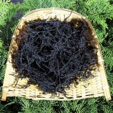 海の幸セット 青木水産 愛媛県 ちりめん、海藻など、宇和海でしか味わえない美味しい海の幸の数々を地元より直送！