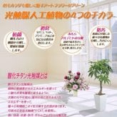 造花　光触媒胡蝶蘭5本立て　3色よりお選び下さい　【お祝い】【開店】【ショールーム】