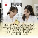 【ラッピング無料・熨斗対応】赤ちゃん おもちゃ ハイハイ ひよこ 4点セット 知育玩具 音楽 ライト 出産祝い ハーフバースデー 誕生日 ギフト