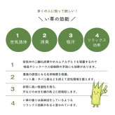 い草 置き畳 ユニット畳 システム畳 無地 シンプル ナチュラル 消臭 縁無し お手入れ簡単 裏面滑り止め 収納便利 約70×70×1.5cm 単品
