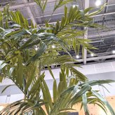 観葉植物 造花 セフリジヤシ BROWN 全高約350cm 特大 大型 フェイクグリーン 高級 本物そっくり リアル おしゃれ インテリア 人工観葉植物 アーティフィシャルグリーン 吹き抜け ロビー ホール オフィス 店舗 ホテル 開店祝い 室内 風水 ヤシの木 バンブーパーム