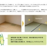 夏ラグ 夏用カーペット 純国産 い草 上敷き カーペット 双目織 『ほほえみ』 三六間2畳(約182×182cm）