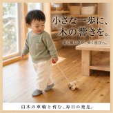 [日本製安心おもちゃ]　六隣車s赤ちゃんバージョン  日本グッドトイ受賞 　[綺麗な木のおもちゃ 日本グッド・トイ委員会選定おもちゃ 知育玩具 1歳 2歳 3歳 4歳 5歳 6歳 7歳 8歳 幼児子供～高齢者 小学生 誕生日ギフト～出産祝いにお薦め♪ 玩具 こま コマ 日本製 色かわり 色変わり がわり 親子 木育 家族 ]