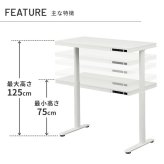 電動昇降デスク 幅120cm テーブル ワークデスク『電動昇降デスク SD』高さメモリー機能 高さ調整 USB付き おしゃれ 電動昇降テーブル PCデスク パソコンデスク オフィスデスク ゲーミングデスク 昇降デスク 昇降テーブル 電動 昇降 デスク