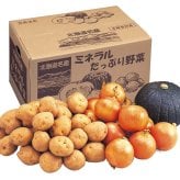 【出荷時期10/1頃～11/30頃まで(受付11/20終了)】北海道野菜3点セット（送料無料 プレゼント グルメ 贈り物  御祝 内祝い 景品 賞品 ご褒美 誕生日 出産祝い 結婚 上司 男 女 友達 新築 引越 送別会 定年 退職祝い 還暦  産地直送 じゃがいも ジャガイモ 男爵イモ たまねぎ タマネギ ギフト お歳暮 寒中見舞い）