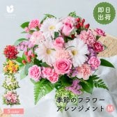フラワーギフト カラフルガーデンフラワーアレンジメント Mサイズ 生花 花市場から直送 父の日  お祝い 誕生日 記念日