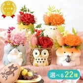 敬老の日 すぐ贈れるギフト 即日発送 誕生日 プレゼント ギフト 花 フラワーギフト プリザーブドフラワー ミニ 動物 アニマル フラワーアレンジメント バラ 薔薇 一輪 ふくろう 犬 猫 かわいい おしゃれ どら焼き 送料無料 スイーツ お菓子 和菓子 母 実母 自分の母 義母 妻 40代 50代 60代 70代 花セット 花とお菓子 2000円 3000円
