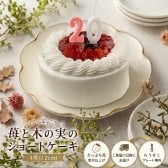 ふわふわ卵スポンジが人気！名入れ ショートケーキ 苺と木の実 4号(直径12cm) デコレーションケーキ 誕生日プレゼント ギフト 内祝い 出産内祝い 結婚祝い 退職祝い お礼 母の日 父の日 東京土産 手土産 人気 おしゃれ