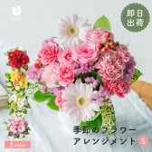 カラフルガーデン アレンジメントS  生花 花市場から直送 お祝い 誕生日 記念日