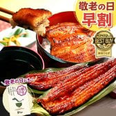 ＼早割！8/31の16時まで／ 敬老の日 早割 お中元 うなぎ 国産 【浜松 浜名湖 うなぎのたなか】  誕生日 プレゼント ギフト 鰻 うなぎのたなか 蒲焼き 誕生日プレゼント グルメギフト 送料無料  お祝い グルメ 人気 内祝い ご褒美 即日配送 特大長蒲焼 180～200g 2～6尾 土用の丑 海鮮 食べ物 おつまみ 高級 化粧箱 風呂敷 1～6人前 40代 50代 60代 70代 80代