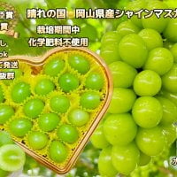LINEで新規会員クーポン