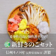 新鮮生きのこセット 6種類 各2パック（12パック） 長野県須坂市産 希少