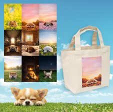 SLEEPY DOG「おでかけバッグ」 12oz スリーピードッグ 犬 厚手 ランチ 