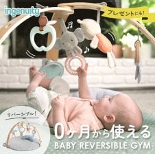ingenuity インジェニュイティ コージースポット リバーシブルジム 