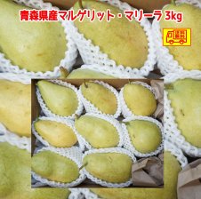 青森県産 にんにく 1kg 訳あり S～2Lサイズ - 【青い森の店