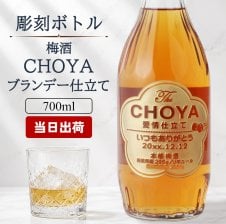 梅酒 金箔入り梅酒「HAMADA」濱田 株式会社石神邑 和歌山県 - 【産直お