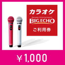 カラオケ ビッグエコー デジタルご利用券5000 - 【カラオケ ビッグ