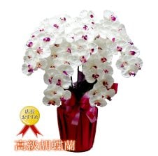 お供え 胡蝶蘭 造花 5本立 お盆 初盆 お彼岸 仏壇 光触媒 - 【花